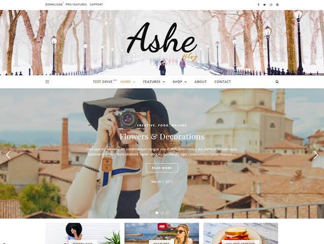 Best Free WordPress Themes